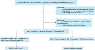 Integrating genomic profiling to clinical data: assessing the impact of CD147 expression on plaque stability